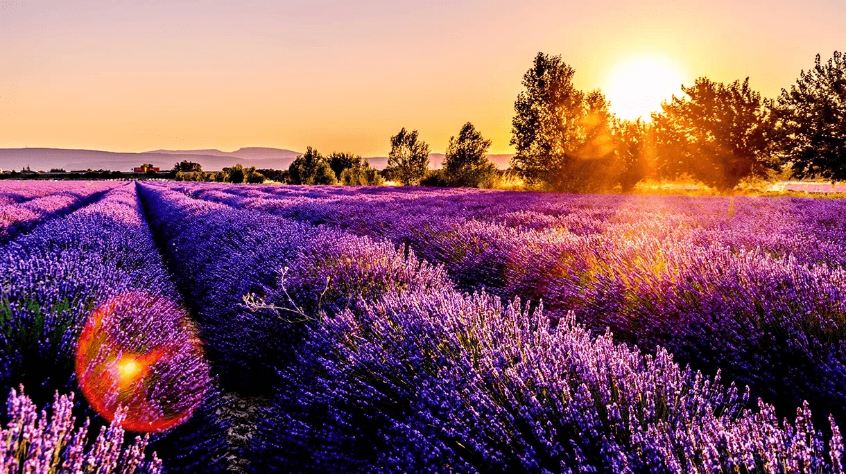 Private chauffeur in Provence and on the French Riviera – AXL Limousine